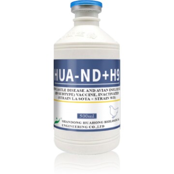 Vaccin combinat inactivat ND+AI H9 (WD)