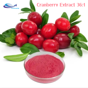 OEM Private Label Cranberry Extract 36:1