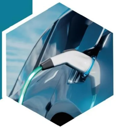 Sodium Battery Hard Carbon Negative Electrode Raw Material