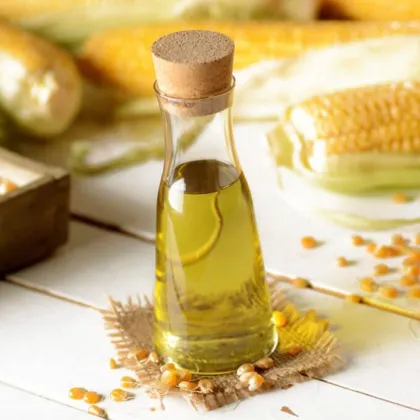 Wholesale unrefined  corn germ oil