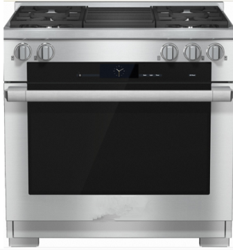Stainless Steel Electric Gas Oven