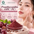 Proantocianidinas OPC 50%–98% Extracto vegetal para formulaciones cosméticas y alimentarias