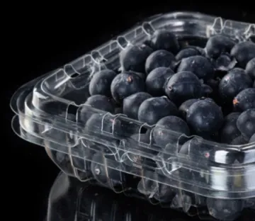 PP/PET /PS Custom Clamshell Plastic Packaging