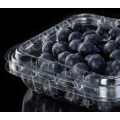 High Quality Plastic Fruit Blueberry Box