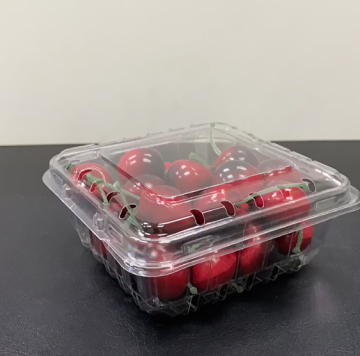 Small Plastic Fresh Fruit Packing Box