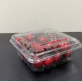 Small Plastic Fresh Fruit Packing Box