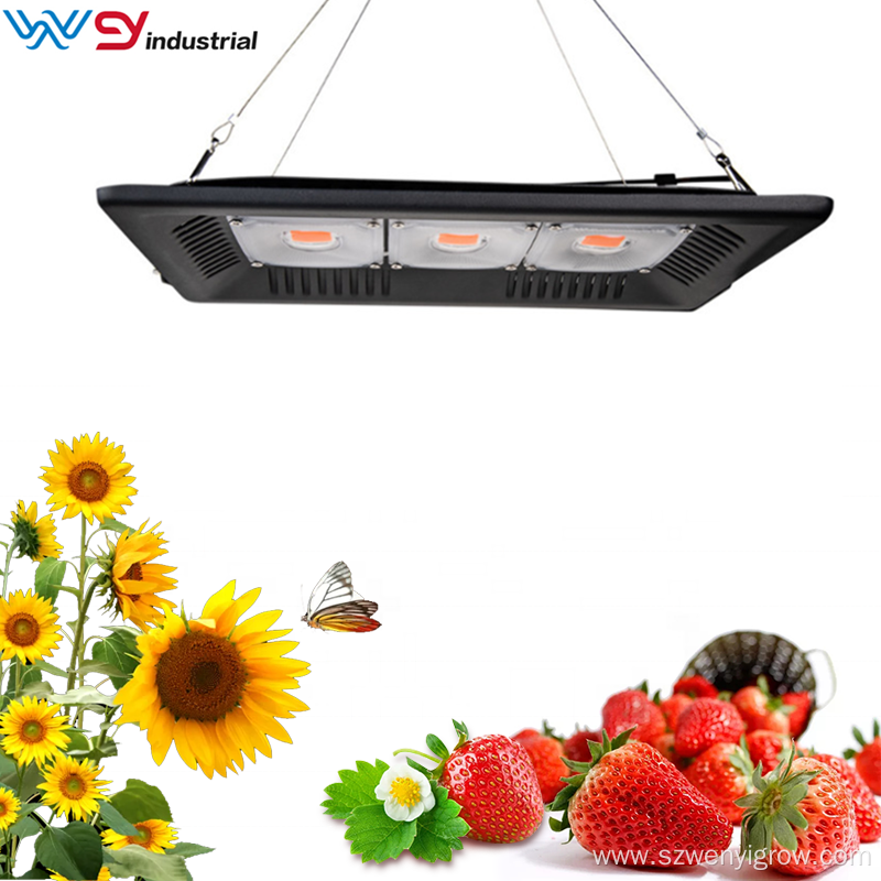 150W COB Grow Light at home depot