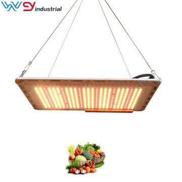 120W LED Grow Light Quantum LED Board