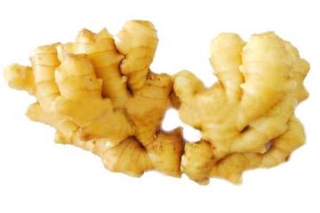 Quality New Crop Ginger