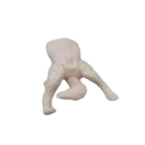 مدل سوراخ مثانه سگ
