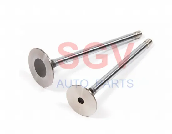 Intake and Exhaust Valves for Engine - 13711-64020, 13711-64010, 13711-64011, 13715-64010, 13715-64012