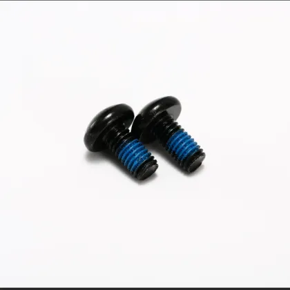Stainless Steel Phillips Head Nylok Screw for Hidden Camera