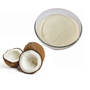 Best Selling Freeze Dried Desicated Coconut Cream Powder