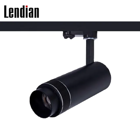 Modern Showroom Museum Shop LED Track Spotlights 15W-30W Cob Magnetic