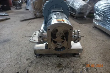 Factory Price Ace Stainless Steel Rotary Lobe Oil Pump by Marzocchi Gear from Professional Manufacturer