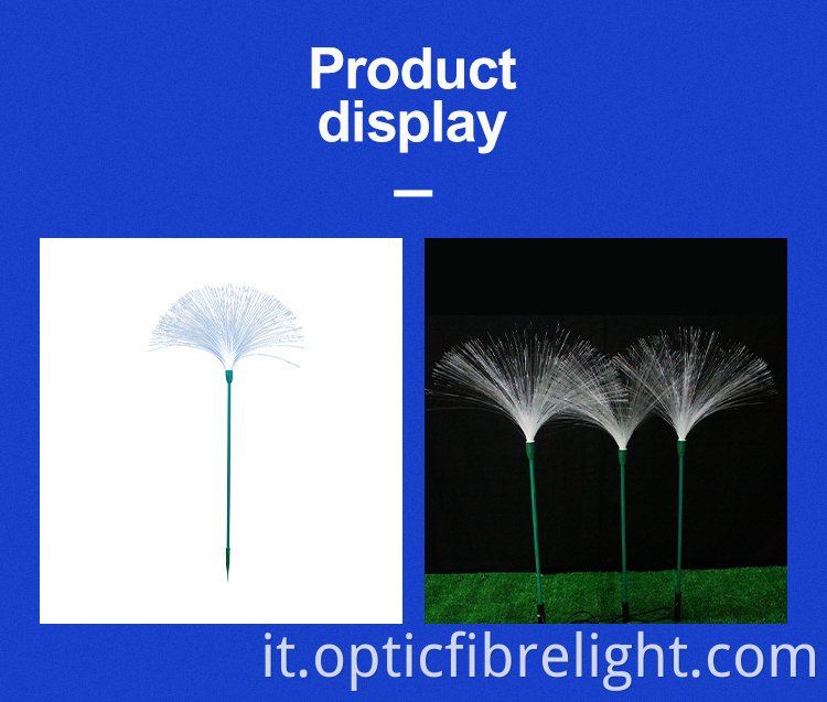 Luce delle canne Reeds Light