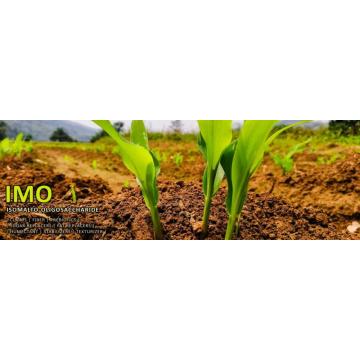 Prebiotics Organic Tapioca Imo порошок для расслабляющего кишечника