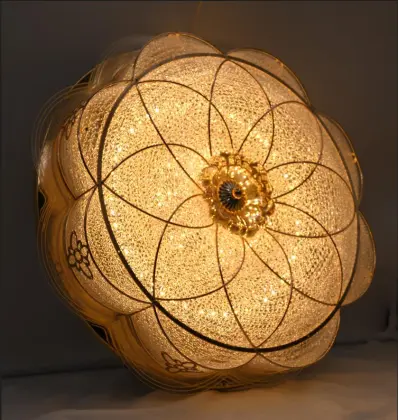 500mm Colored Changeable Round Ceiling Lights - Surface Mounted Indoor Lighting