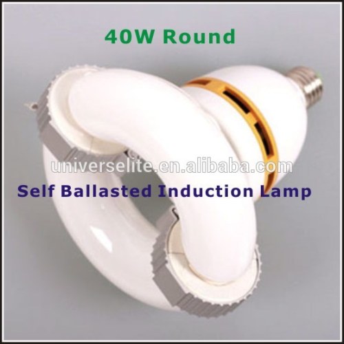 40W Self Ballasted Induction Lamp E39&E40 Base Round&U type