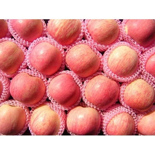 Fresh Red Fuji Apples China Manufacturer