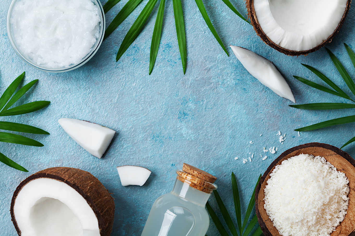 coconut mct powder mct oil powder