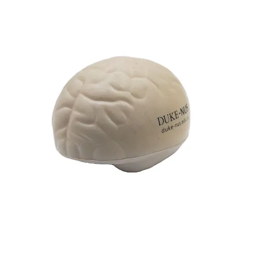 Wholesale Brain-Shaped Stress Balls: Soft PU Slow Raising Toy Teaching Aids