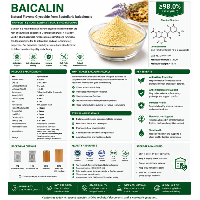 Polvo de extracto de baicalina orgánica