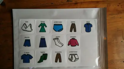 Hot Sale PVC Carton Sticker With English