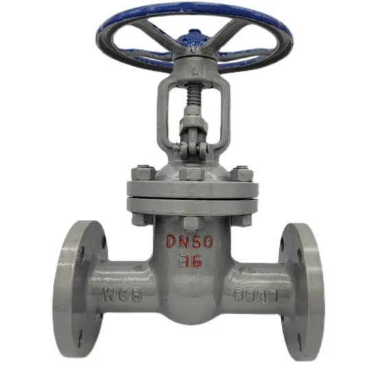 High Quality Titanium Lengthened Shaft Manual Gate Valve