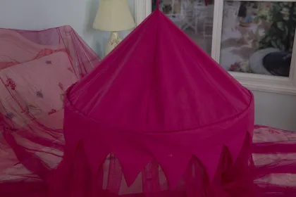 Bed Canopy Girls Mosquito Canopy Bed Net
