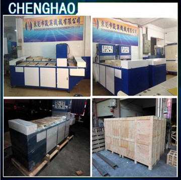 Automatic Blister Card Sealing Machine for Wrapping/Packing