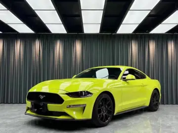 PET Sao Paulo Yellow Vehicle Vinyl Wrap