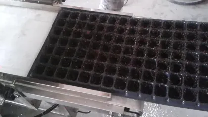 Corn seed Planter/ Corn seeder machine/ Corn seed planting machine