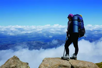 shoes heel cleaning agent