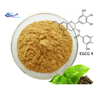 Curcuma longa rhizome powder extract Tumeric Powder