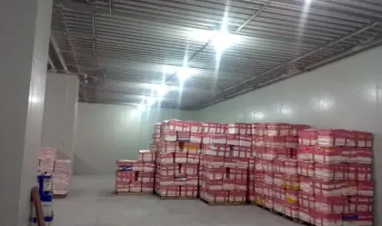 Apple cold storage equipment