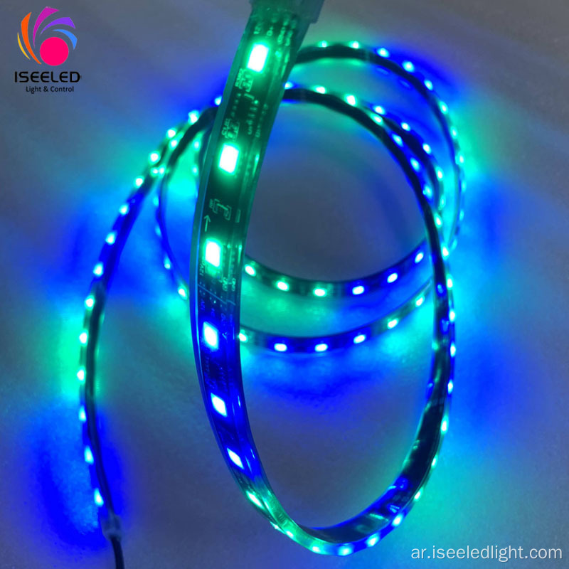 DMX512 قابلة للعنونة LED RGB Rope Light