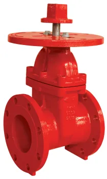 200psi Nrs Type Flanged End Gate Valve with Round Plate