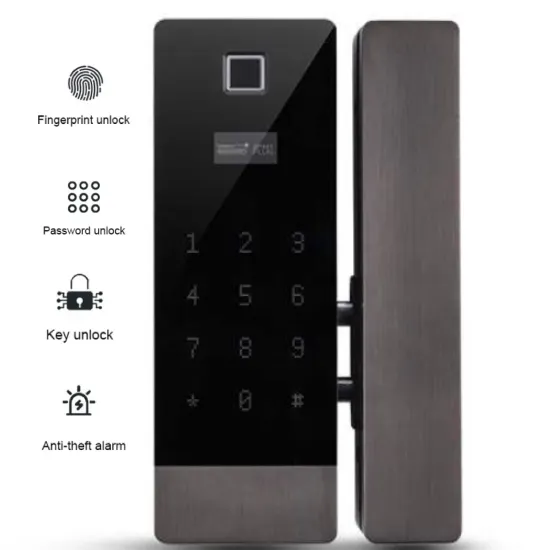 Face Recognition Smart Lock For Glass Door