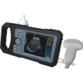 Easy Carry Veterinary Ultrasound Diagnostic System for Sheep