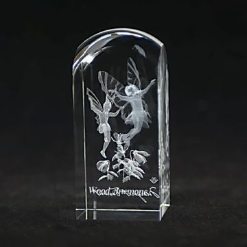 3d Laser Crystal Engraving