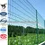 Anping Xinxiang Galvanized and PVC coated welded wire fence