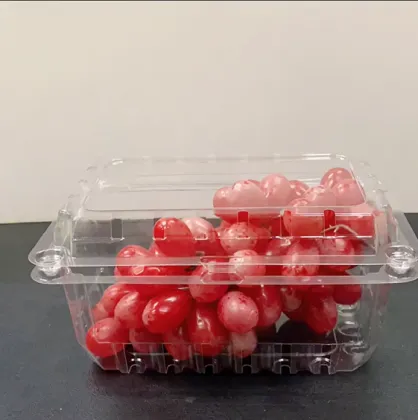Plastic Fruit Container For Fruit