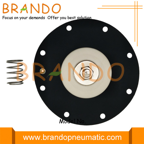 2 &#39;&#39; Inch DMF-Y-50s BFEC Immersion Doppelmembranventil