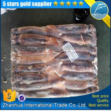 Frozen squid, Illex squid seafood products, squid illex