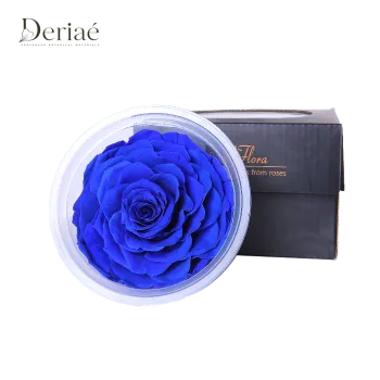 Natural 9-10cm Preserved Rose Head
