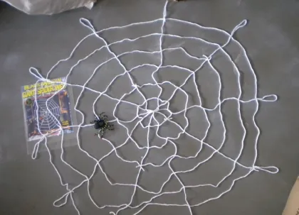 White Spider Web