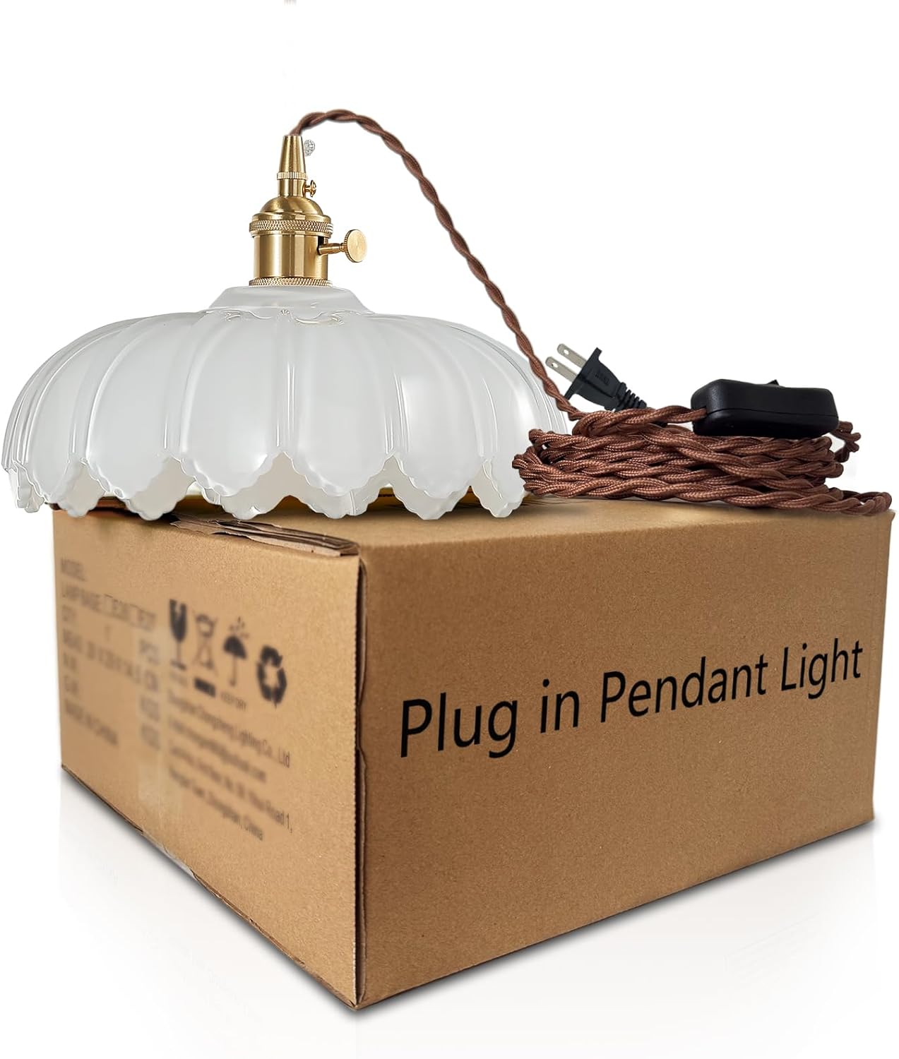 Plug in pendant lamp glass shade for dining room (18)