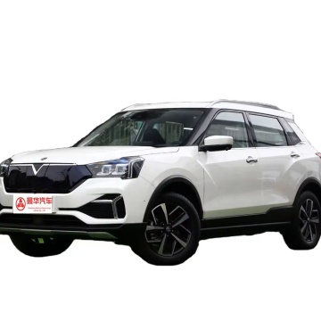 Dongfeng Venucia 2023 T60 EV: A 442km Range, 5-Door 5-Seater Electric SUV