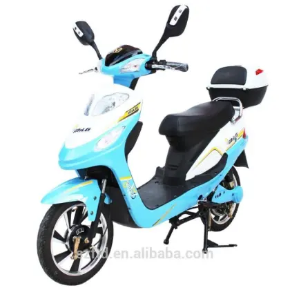 Electric Scooter ML-XYH